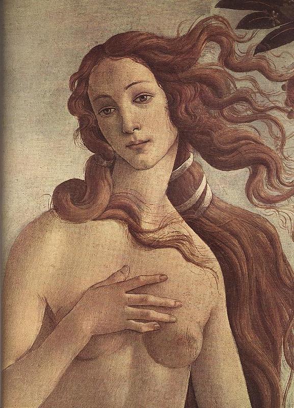BOTTICELLI, Sandro The Birth of Venus (detail) ff Spain oil painting art